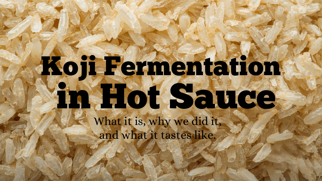 Koji Fermentation in Hot Sauce: What It Is, Why We Did It, and What It Tastes Like