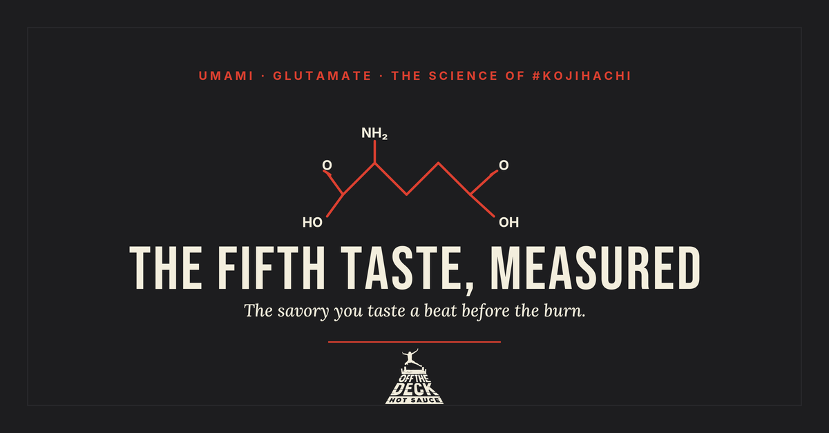 The Fifth Taste, Measured