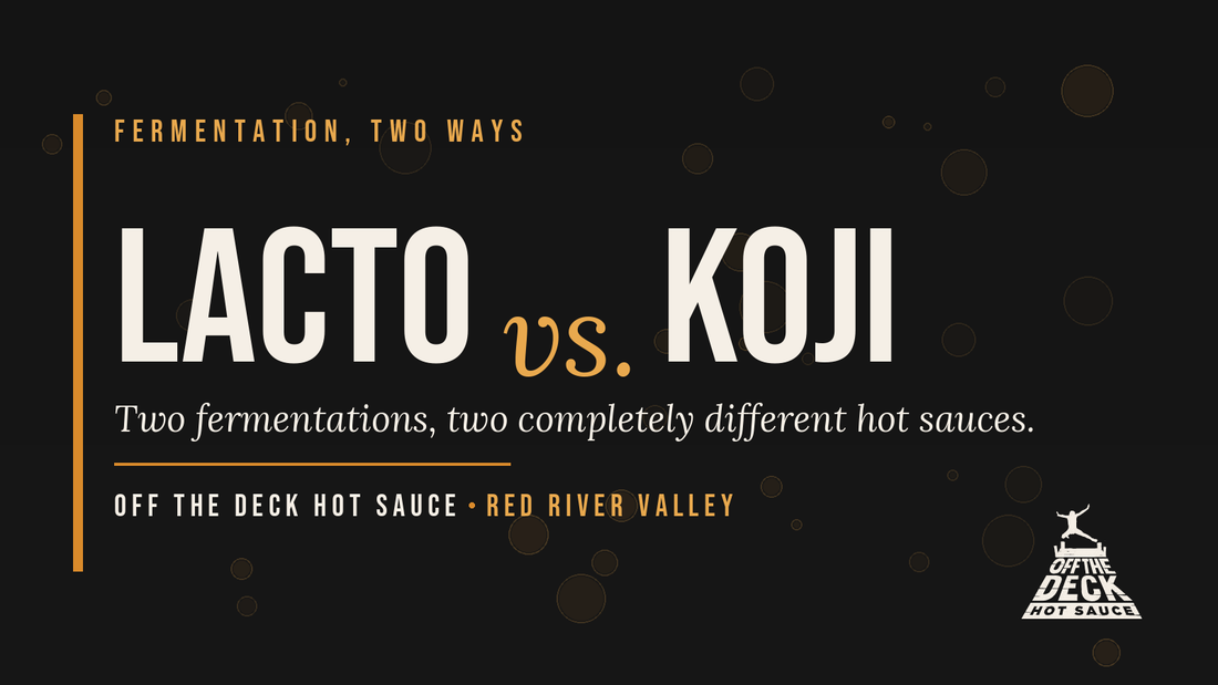 Lacto vs. Koji: Two Fermentations, Two Completely Different Hot Sauces